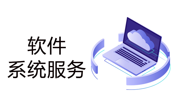  软件系统服务