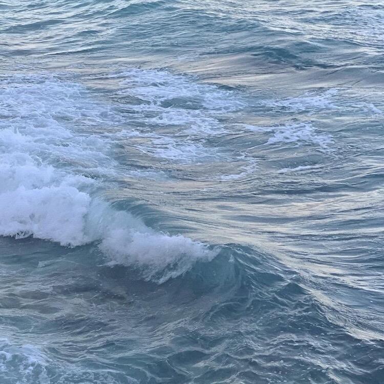 A3cc5b8a57e36d0db82953cbe3709296