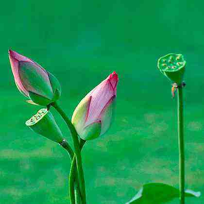 0c06aed294b70e6fce46110c4708c1b8